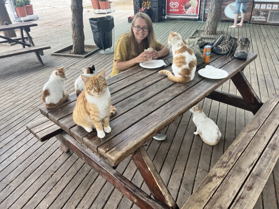 A woman sitting at a picnic table eating a wrap with 4 cats sitting on the table and one underneath. 