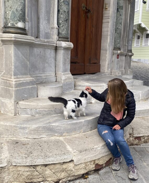 A woman petting a cat outside the Topkapi Palace