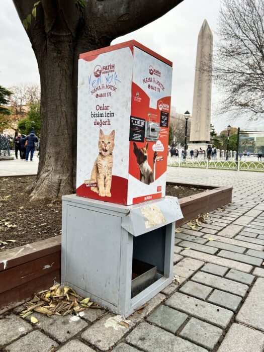 A cat/dogfood dispenser in Istanbul