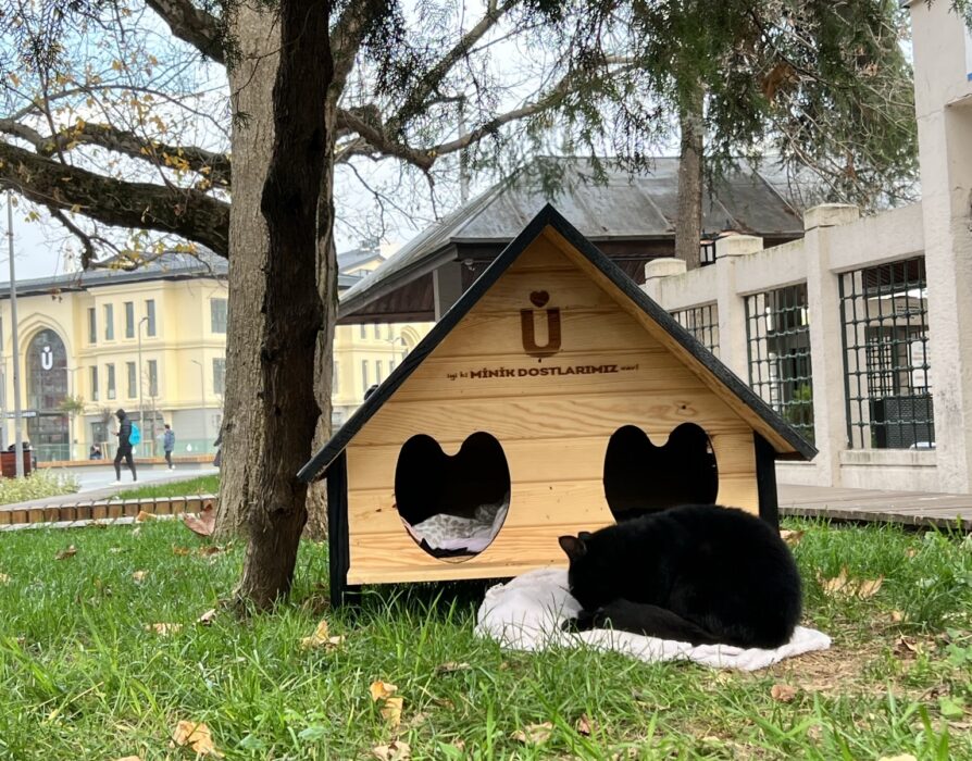 A cat house, with a cat sleeping on a blanket outside it, in Istanbul.