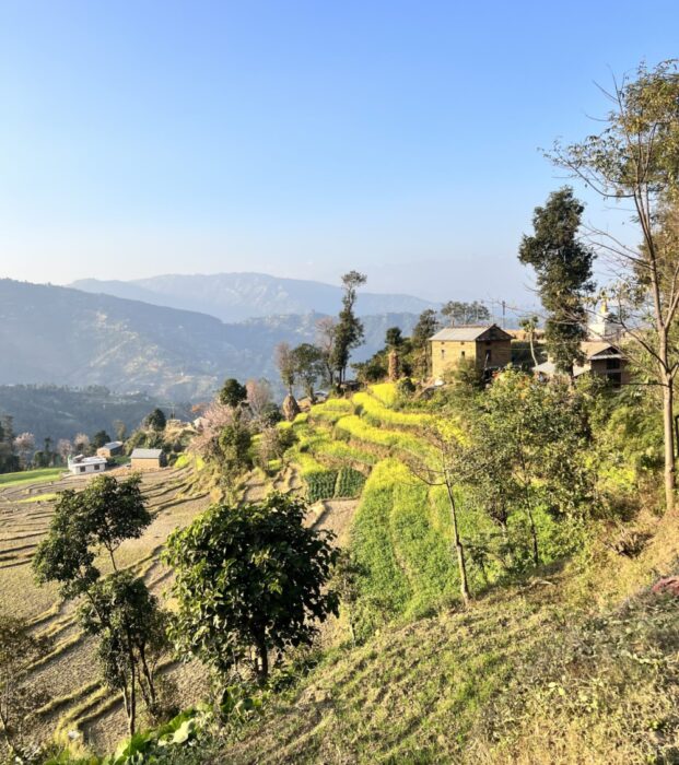 A photo of farming fields on a hill in the Nepali village Patlekhet.