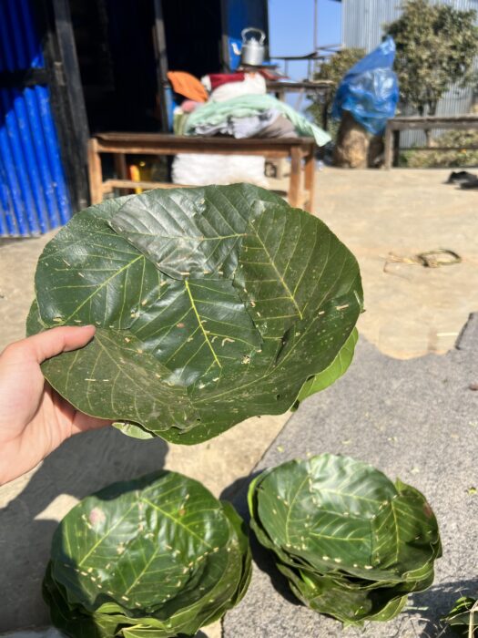 A bowl made of large green leaves being held up, with piles of other leaf bowls below. 