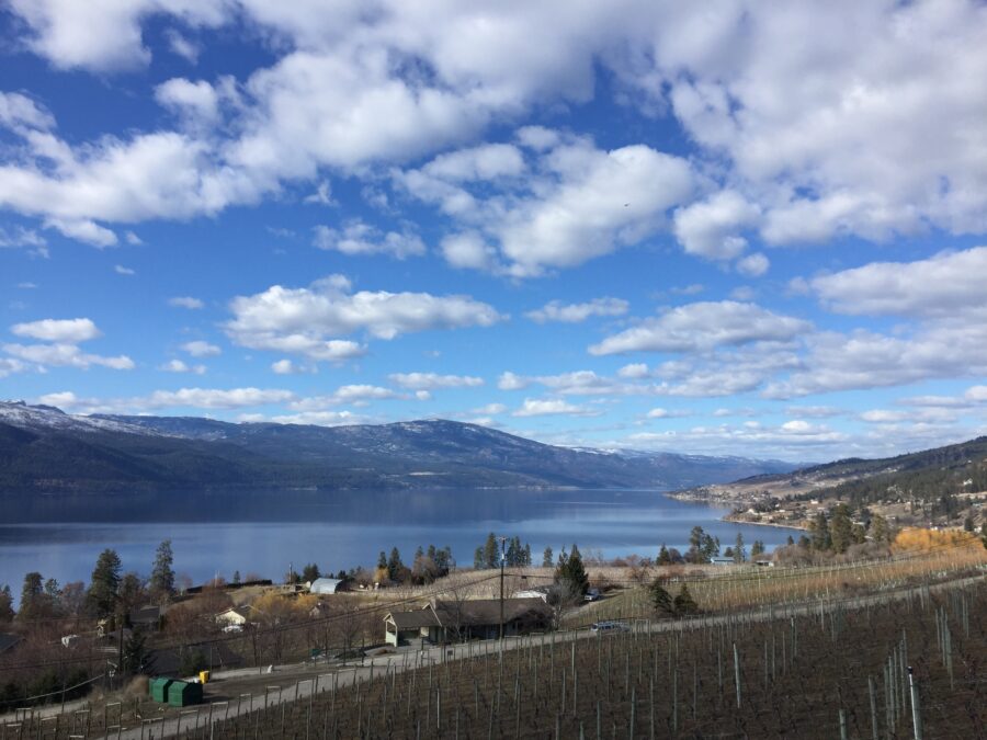 An image of a vineyard overlooking a lake in Kelowna, the first stop on this BC summer road trip itinerary.