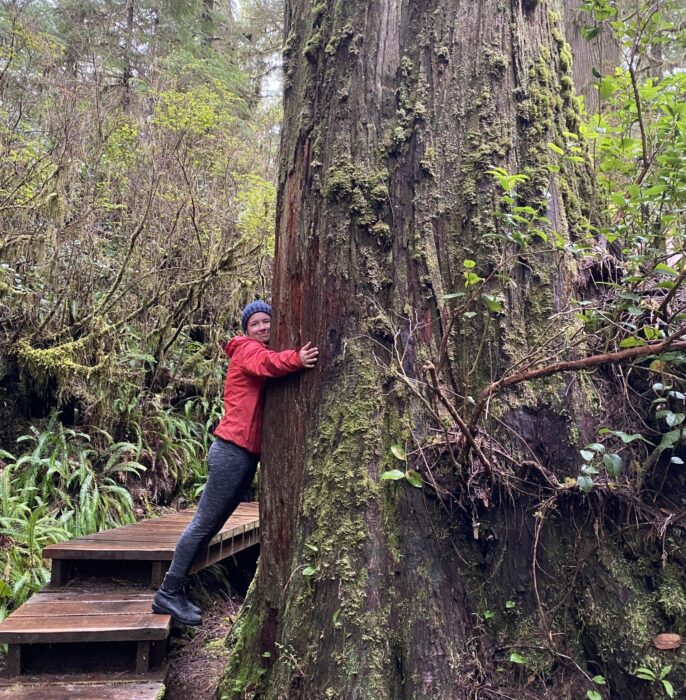 A girl in a red raincoat and blue toque hugging a very large old growth tree, in Cathedral Grove on Vancouver Island.