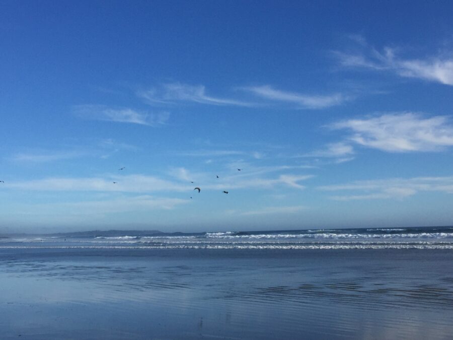 A photo of the ocean under a blue sky with a couple clouds. There are birds flying in the distance.