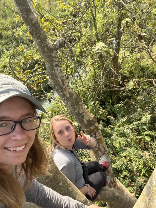 A selfie of two girls sitting in a tree. The photo is take by the girl higher in the tree, angled downward.