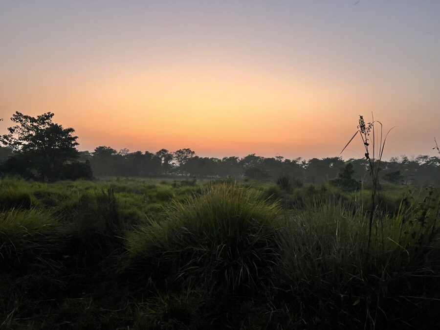 A orange and pink sky over a grassy field in Chitwan National Park in Nepal.