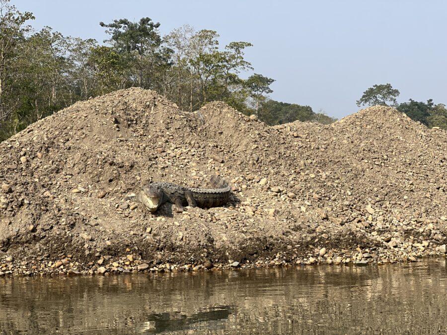 The Time I Crossed a Crocodile-Infested River in Nepal