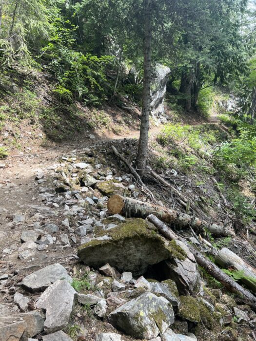 Broken Bridge Trail in Revelstoke National Park