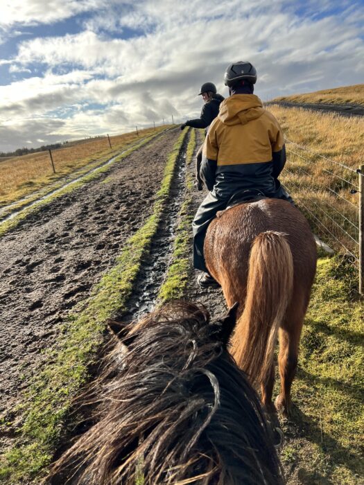 The photo is taken from the perspective of someone riding a horse with the horses head visible. In front are to other horses and riders in a line. 