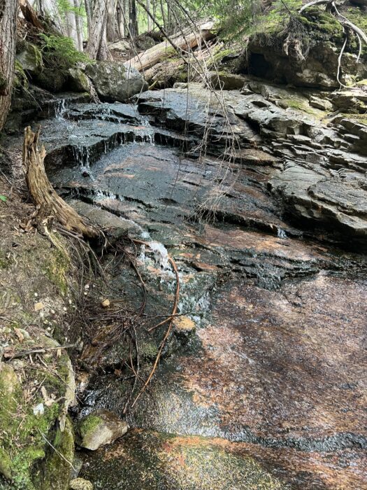 A small waterfall in Revelstoke National Park.