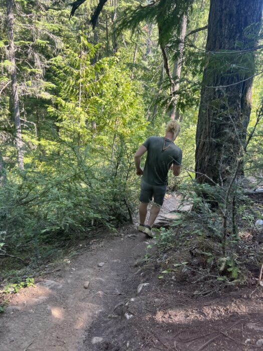 A man walking down a trail on the way to Moses Falls. 