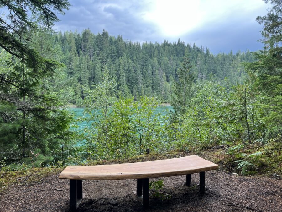 A wooden bench overlooking a river, part of the Riverside Forest Walk in Revelstoke BC