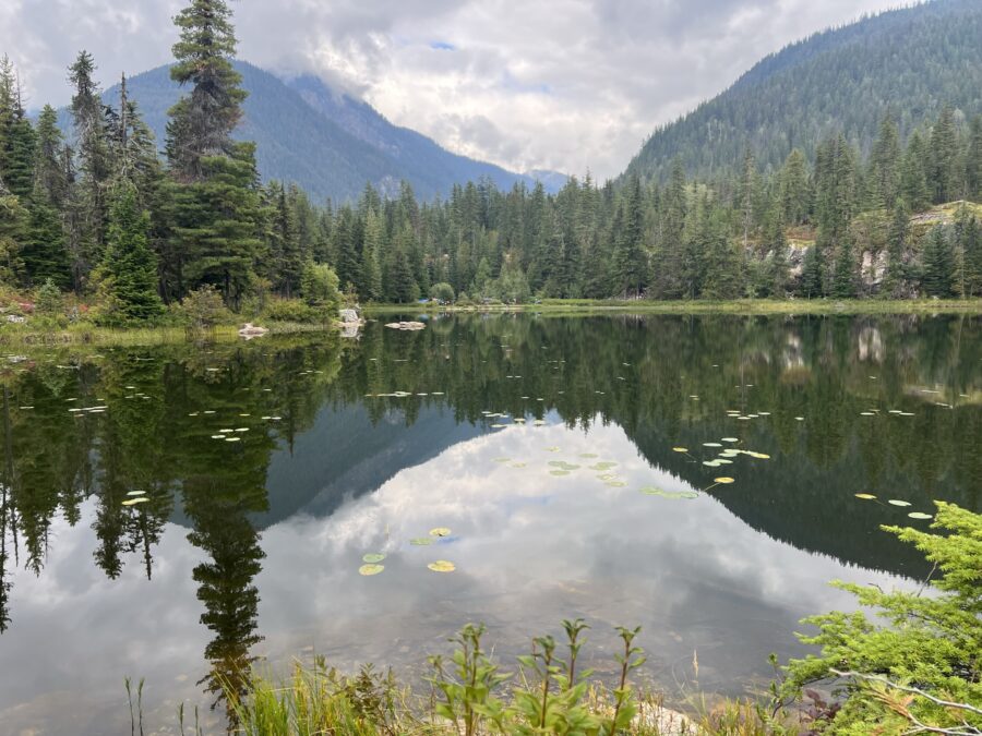 A close up view of Echo lake, with some lily pads, and surrounding forests and mountains