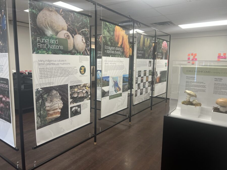 4 large display boards in a row with information on mushrooms in BC