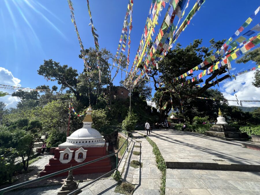 Outside a temple in Nepal, many prayer flags hang above a pathway.