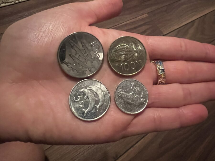 A 10 KR, 100 KR, 5 KR and 1 KR coin on an open hand. 