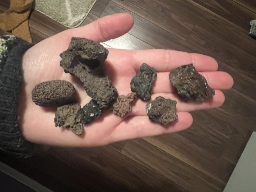 A collection of lava rocks from Iceland being held in an open hand