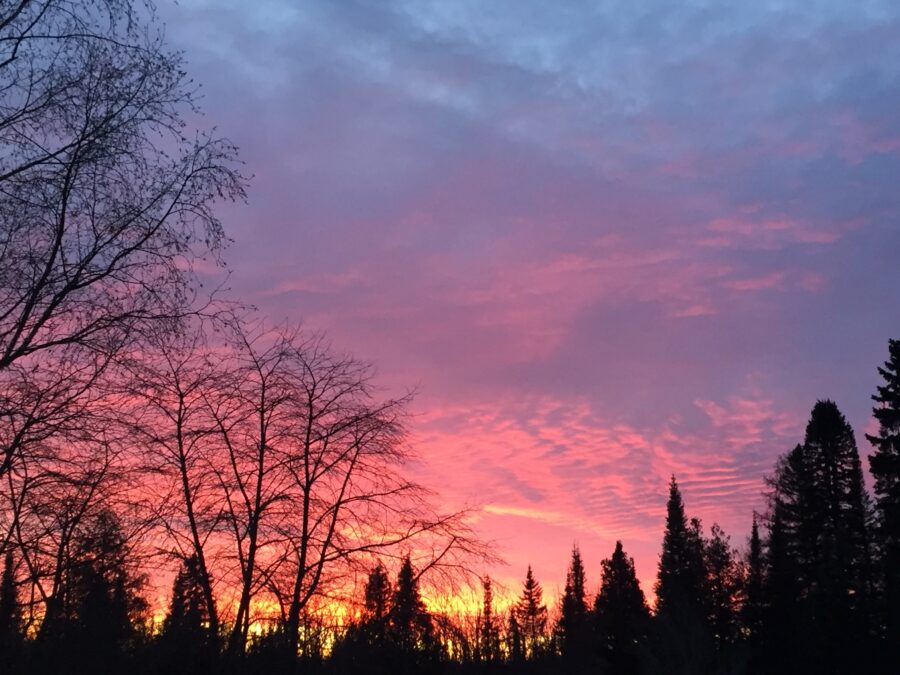 A pink, purple and orange sunset over the shadow of trees, representing a poem about silence