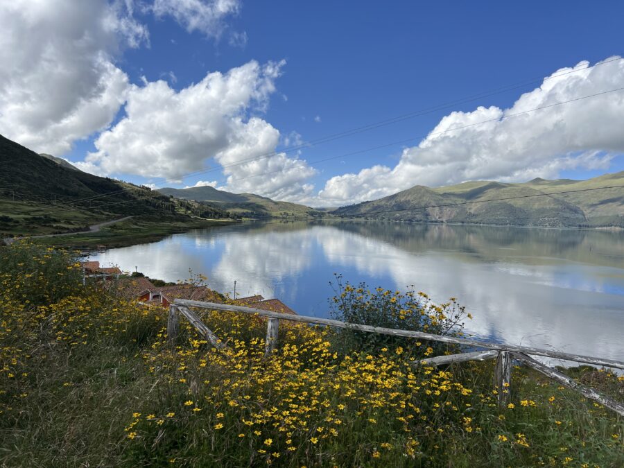 A lake with yellow flowers in front of it and small mountains in the background