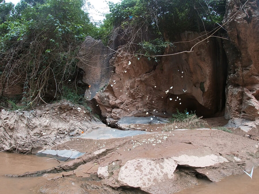 An image of butterflies in front of a cave in Laos.