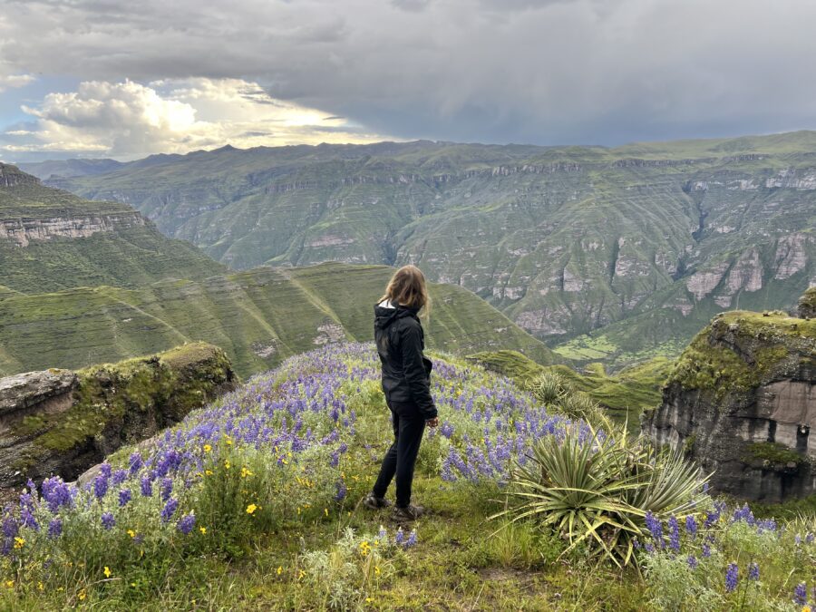 A girl looking at the views on the Waqrapukara hike